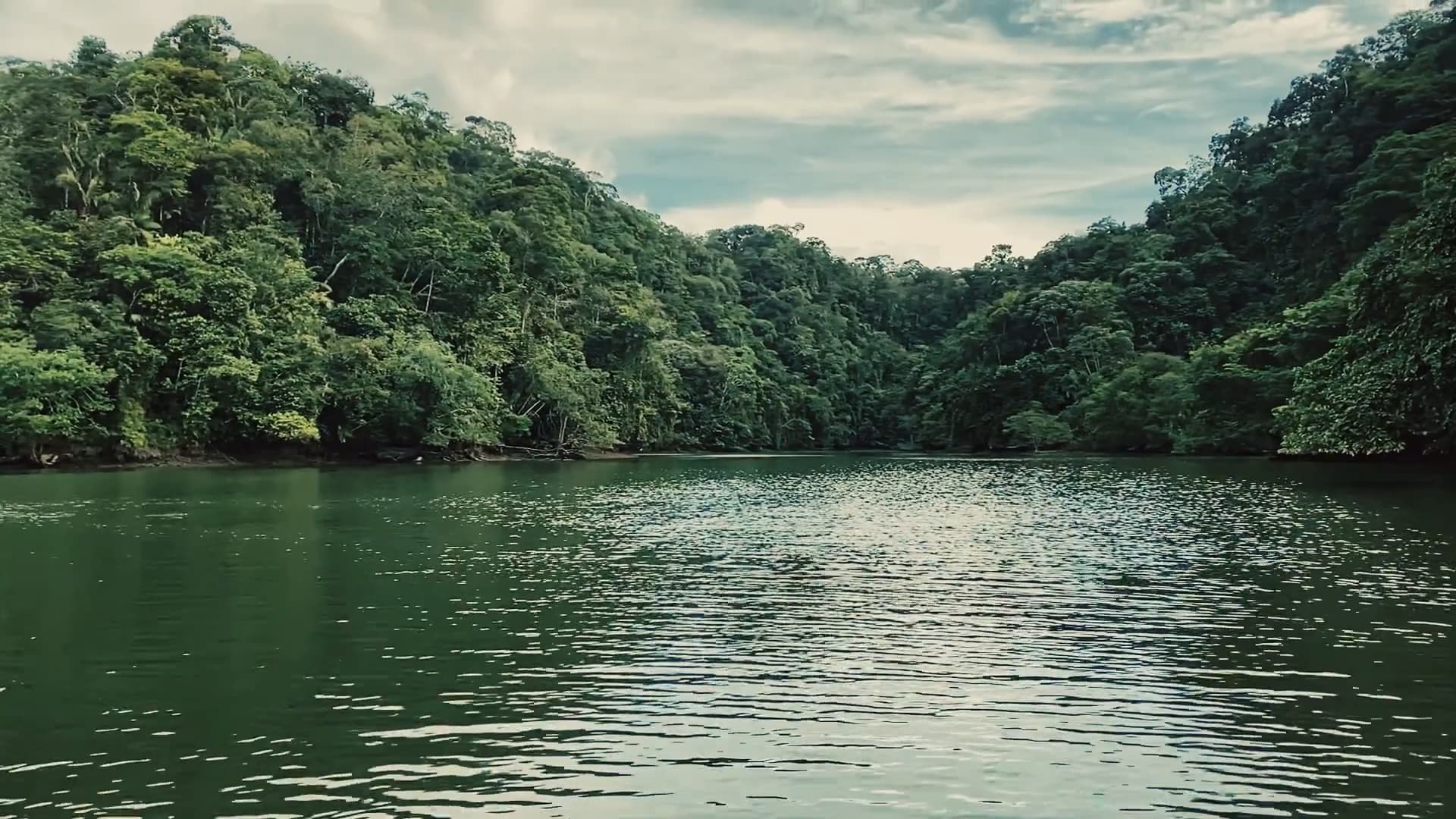 Déjame respirar / Let Me Breathe Music Video