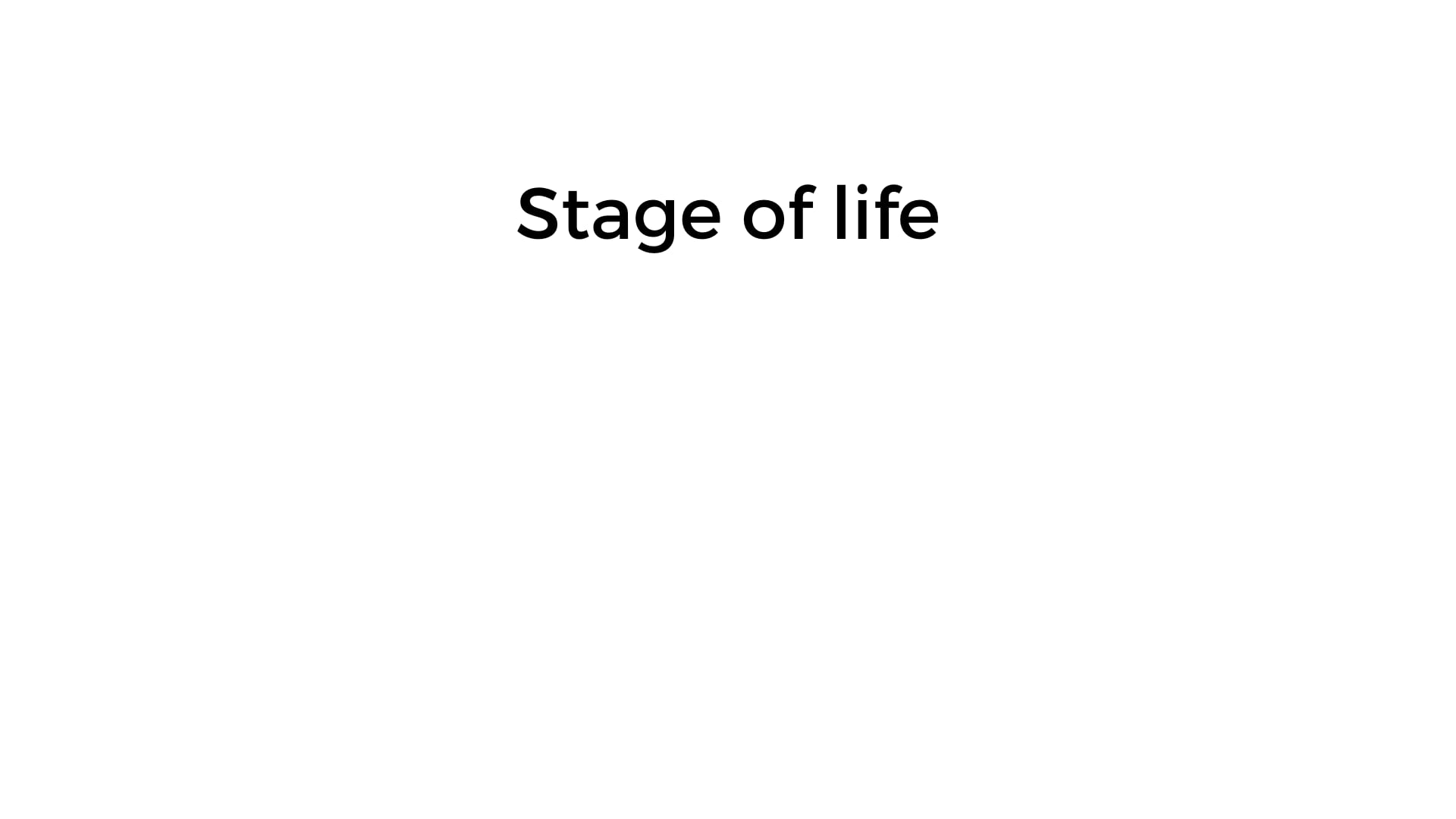 your-stage-in-life-on-vimeo