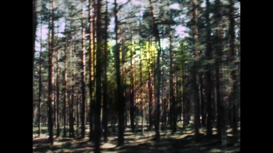 VIA KARELIA