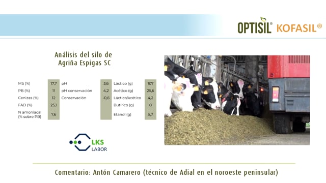 Agriña Espigas SC