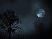 Nod off into the Night