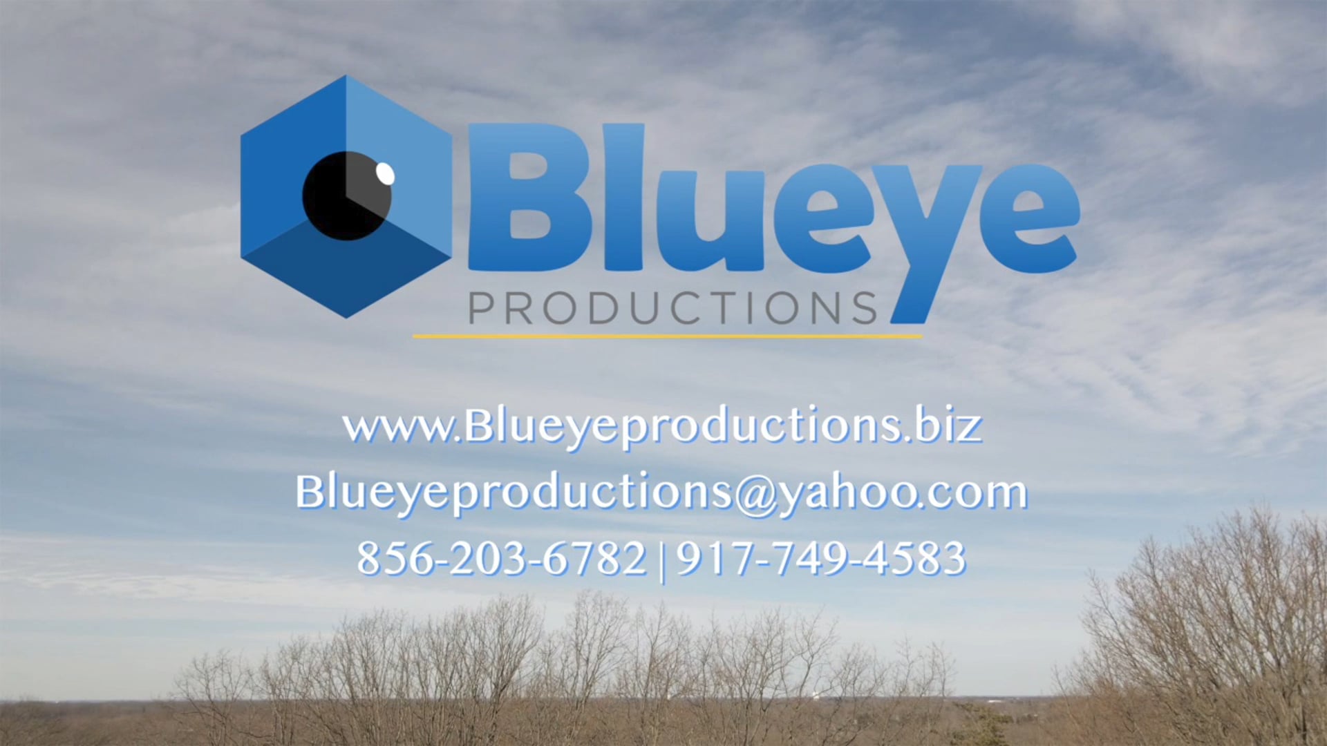 Blueye's Drone