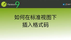 如何在标准视图下插入格式码