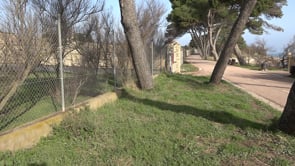 A l'octubre es renovarà el Passeig Lluís Albert