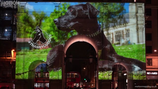 Yumove “Thank you Dogs” campaign