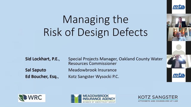 Managing the Risks of Design Errors
