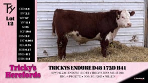 Lot #12 - TRICKYS ENDURE D48 173D H41