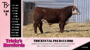 Lot #3 - TRICKYS VAL F93 B413 H08