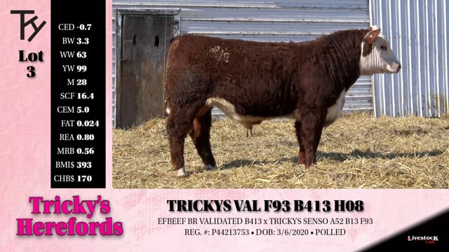 Lot #3 - TRICKYS VAL F93 B413 H08