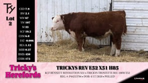 Lot #2 - TRICKYS REV E52 X51 H85