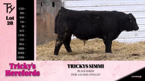 Lot #28 - TRICKYS SIMMI