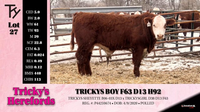 Lot #27 - TRICKYS BOY F63 D13 H92