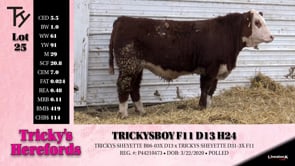 Lot #25 - TRICKYS BOY F11 D13 H24