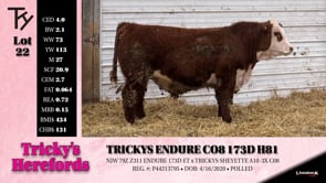 Lot #22 - TRICKYS ENDURE C08 173D H81