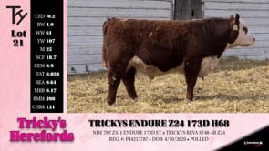 Lot #21 - TRICKYS ENDURE Z24 173D H68