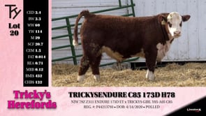 Lot #20 - TRICKYS ENDURE C85 173D H78