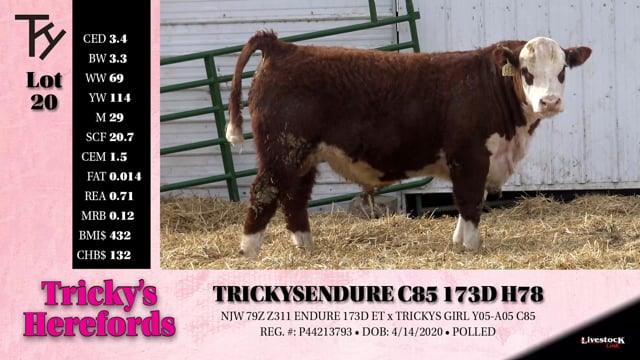 Lot #20 - TRICKYS ENDURE C85 173D H78