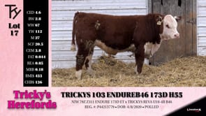 Lot #17 - TRICKYS 103 ENDURE B46 173D H55