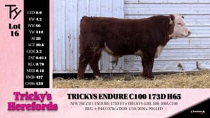 Lot #16 - TRICKYS ENDURE C100 173D H65