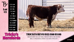 Lot #15 - TRICKYS REVO D53 E60 H109