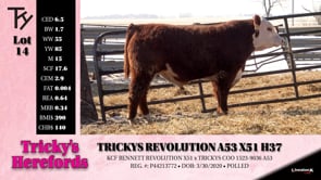 Lot #14 - TRICKYS REVOLUTION A53 X51 H37