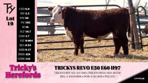 Lot #10 - TRICKYS REVO 350 E60 H97