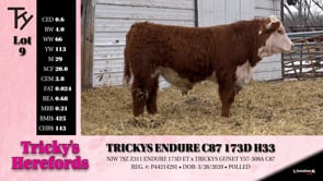 Lot #9 - TRICKYS ENDURE C87 173D H33