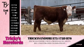 Lot #7 - TRICKYS ENDURE E73 173D H70