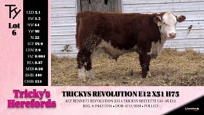 Lot #6 - TRICKYS REVOLUTION E12 X51 H75