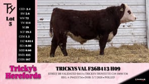 Lot #5 - TRICKYS VAL F36 B413 H09