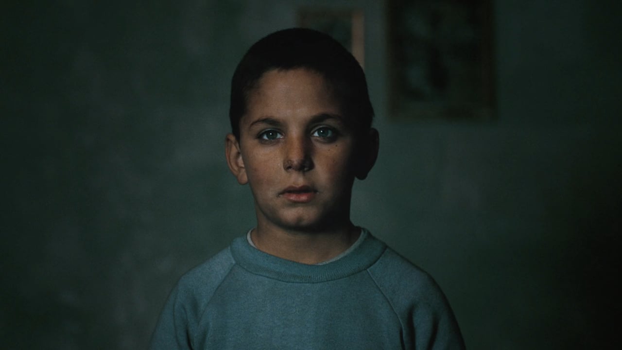 Amnesty International