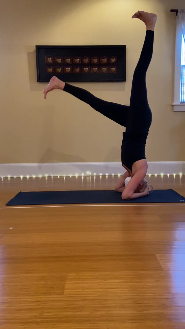 Chaturanga Dandasana — Yoga Loft Marblehead