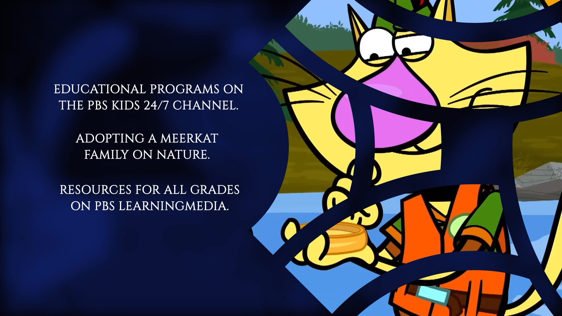 EVERY DAY SPOT 7 Nature Cat