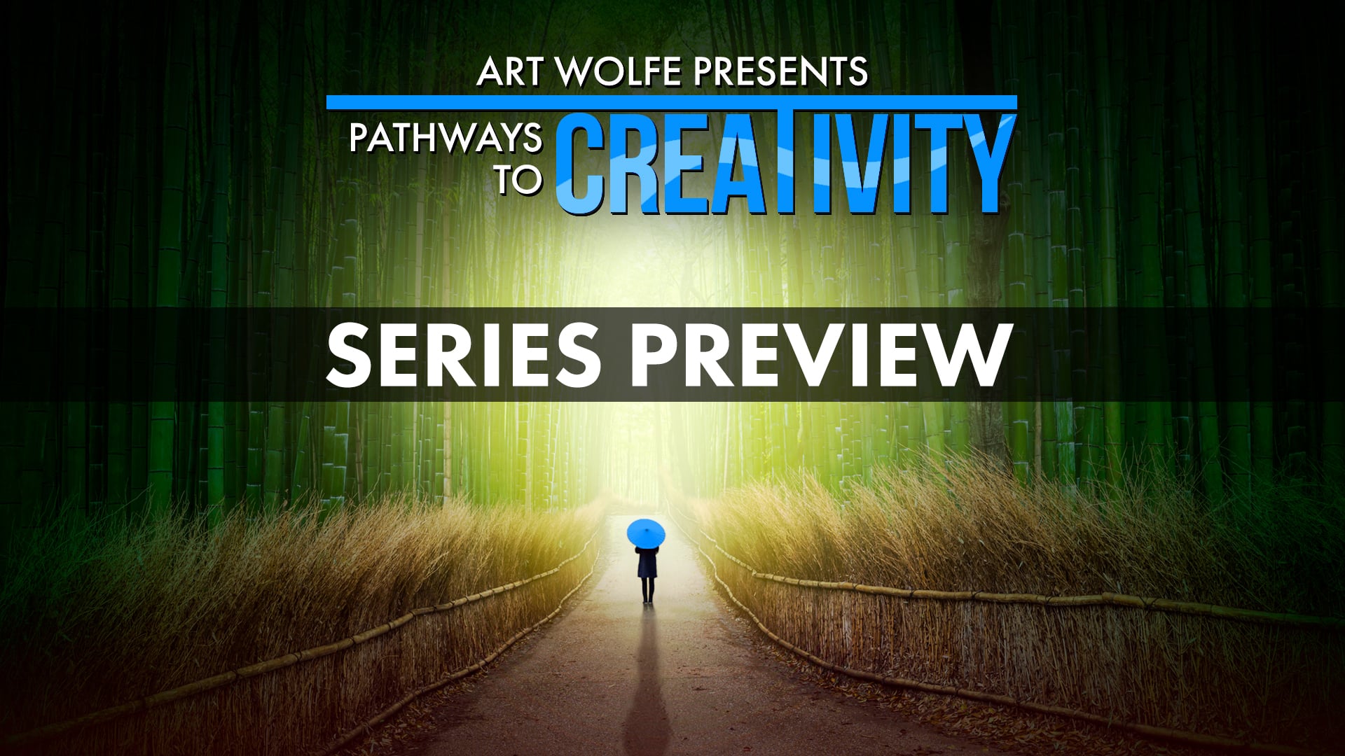 Watch Art Wolfe Presents Pathways to Creativity Season 1 Online Vimeo On Demand on Vimeo