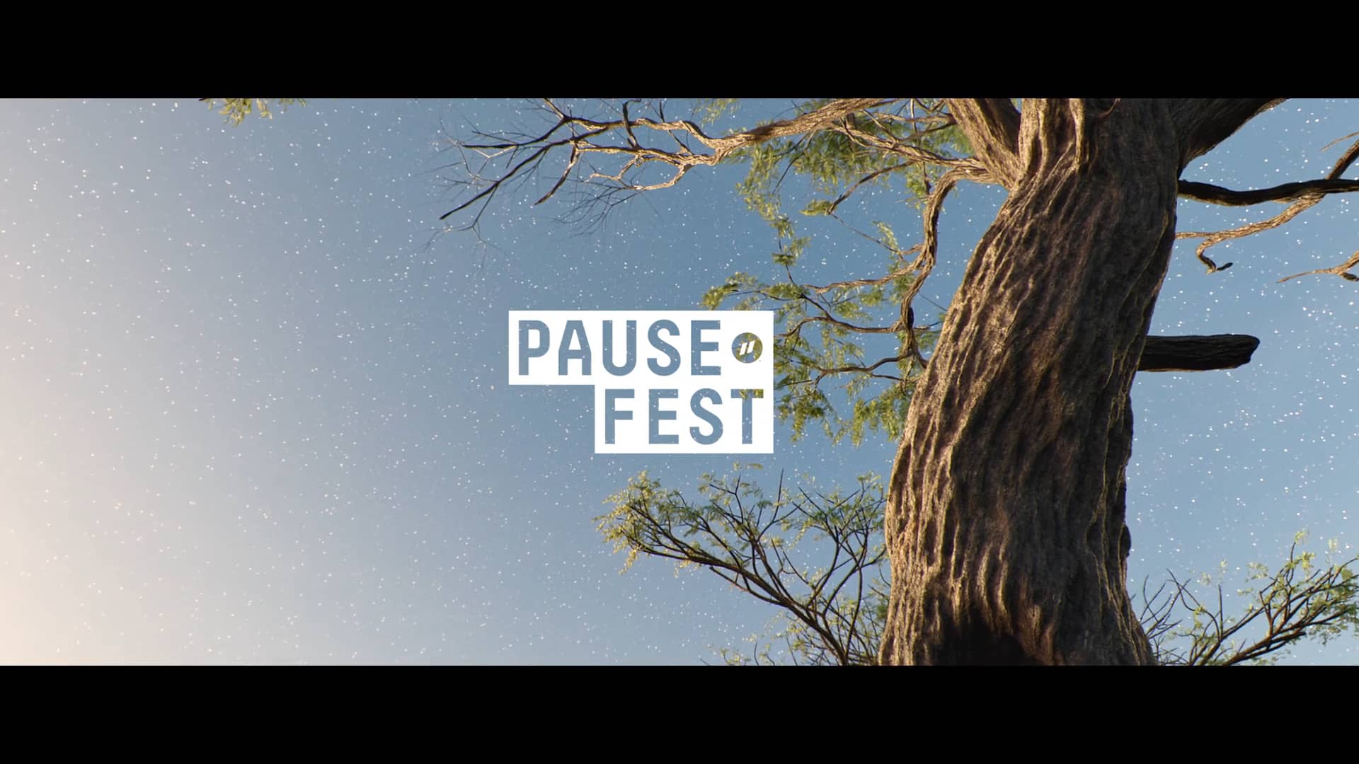 Pause Fest 2021 Opening Titles by TheMill on Vimeo