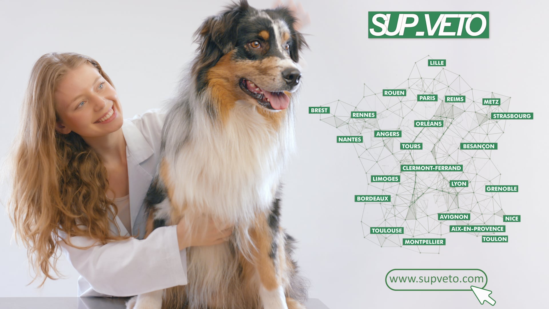 Chien / Votre programme