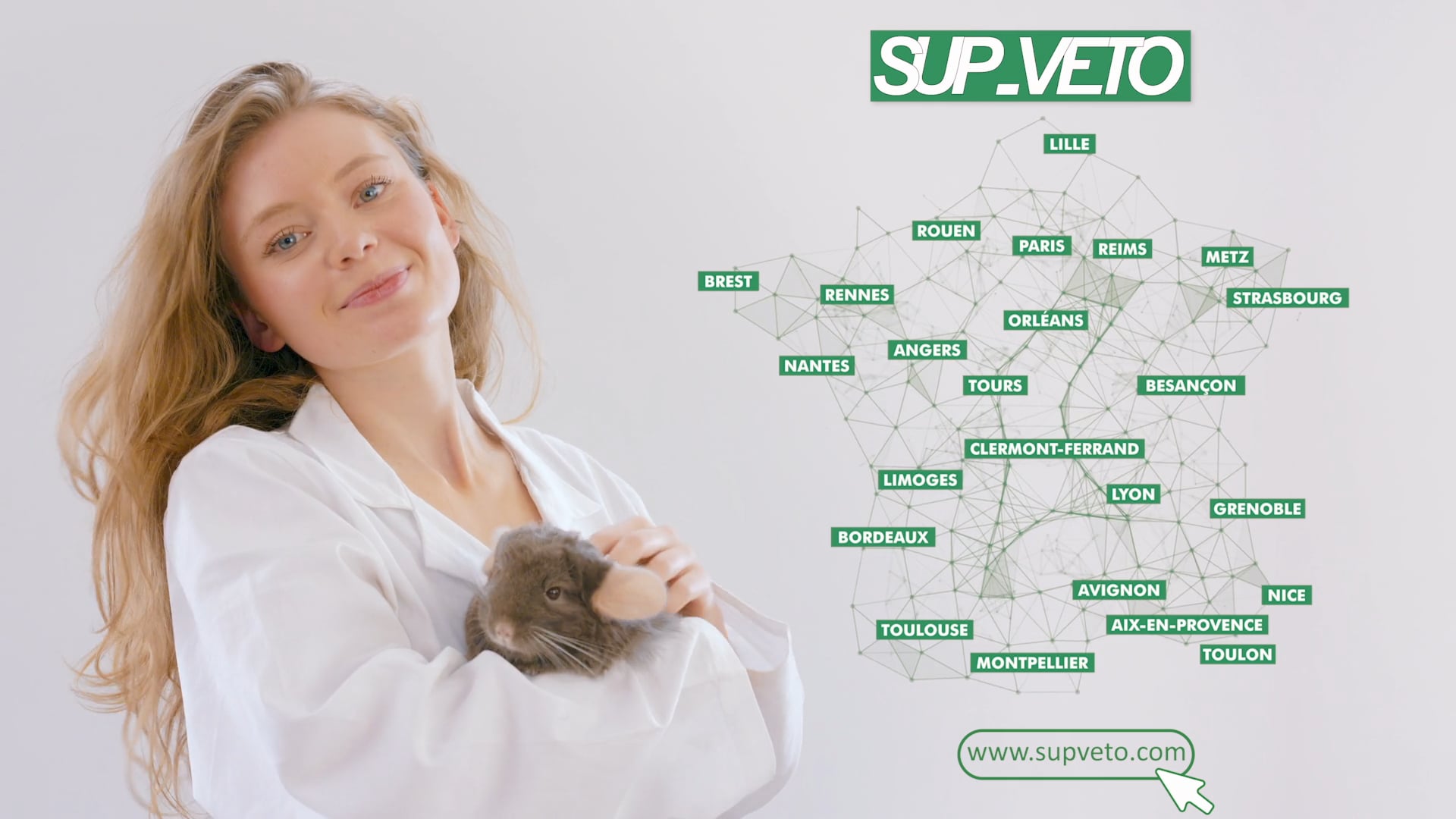 Chinchilla / Votre programme
