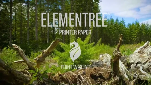 Elementree Sustainable Printer Paper for Everyday