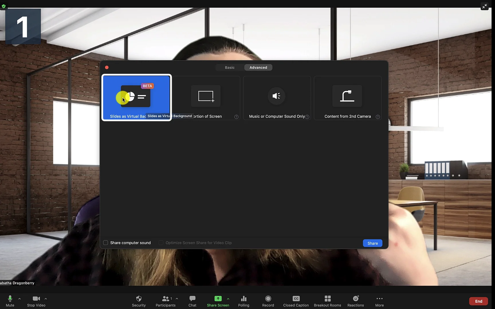 Screencast Zoom Tutorial on Vimeo