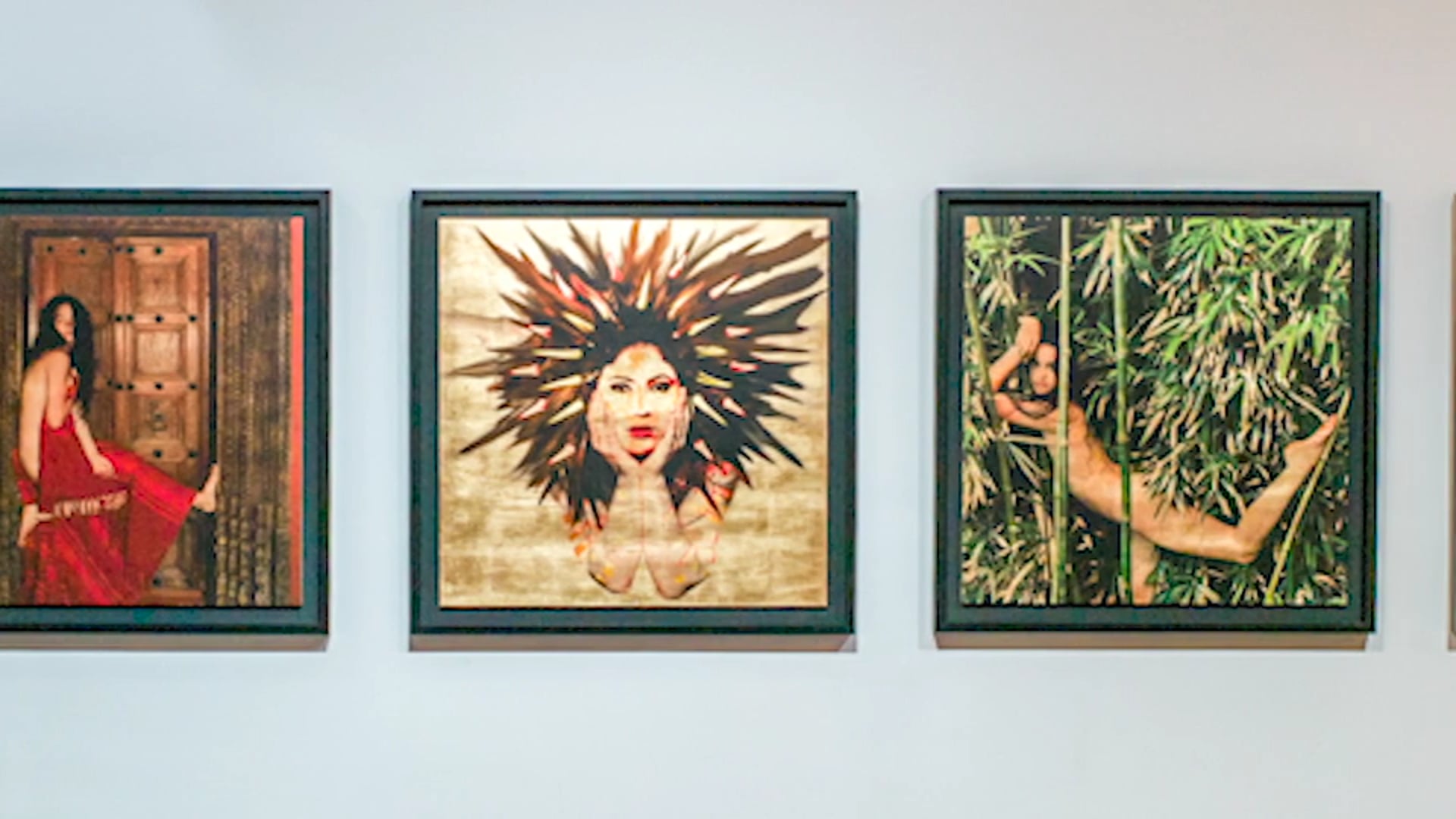 Artist Turns Activist - FOX 5 NYC News Clip