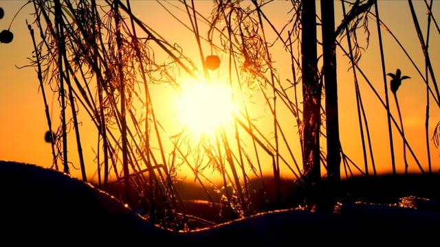 Abendstimmung 12-02-2021