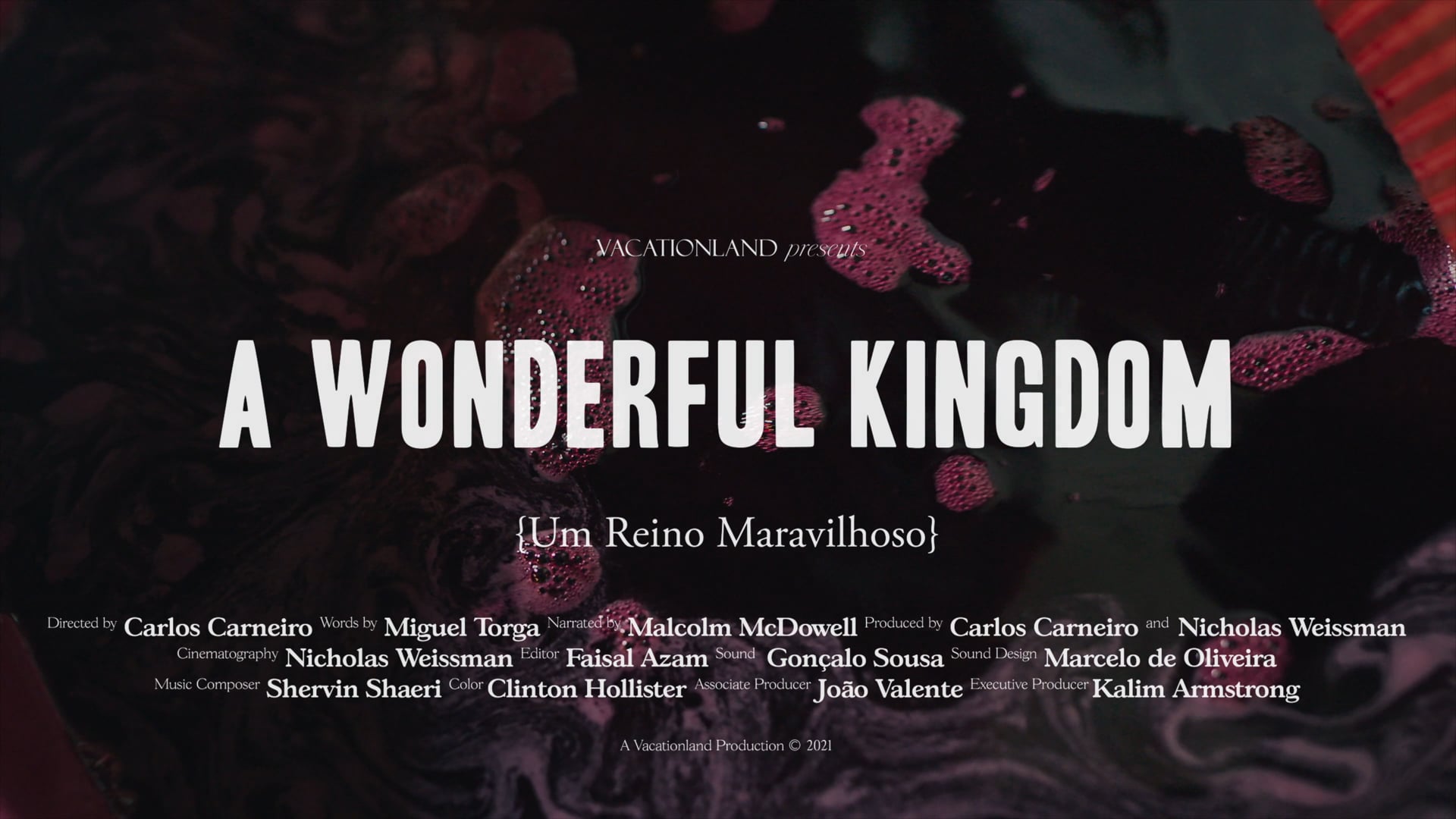 A Wonderful Kingdom [2021]