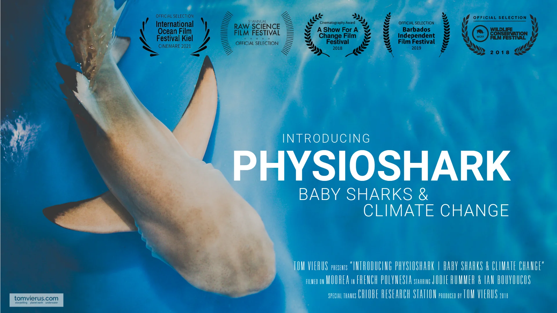 Introducing PHYSIOSHARK  Baby sharks & climate change on Vimeo