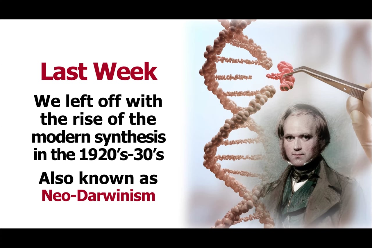The Modern Synthesis on Evolution and Fundamentalism