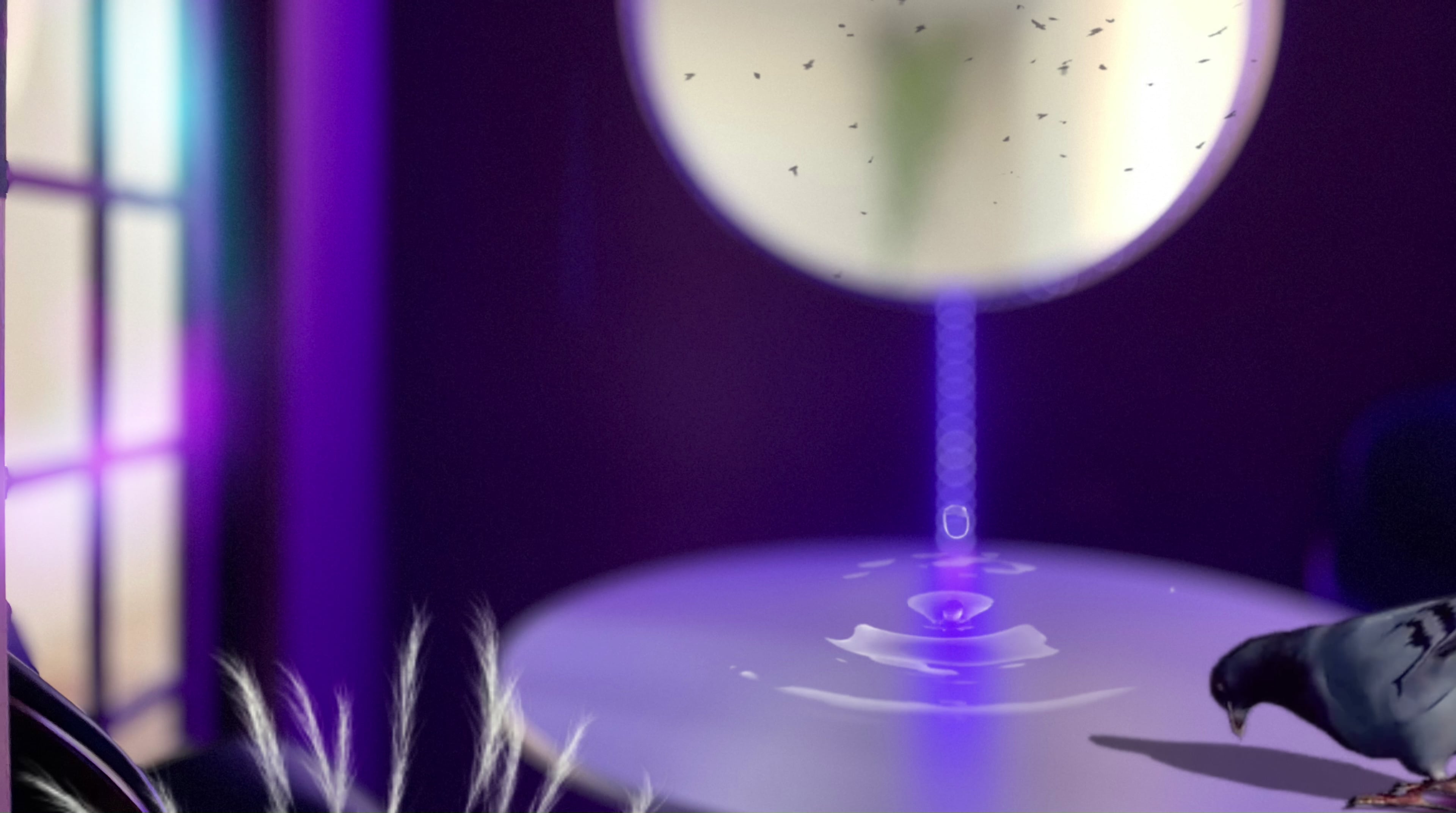 Untitled on Vimeo