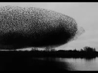 Black Sun / Houtwiel Water #1