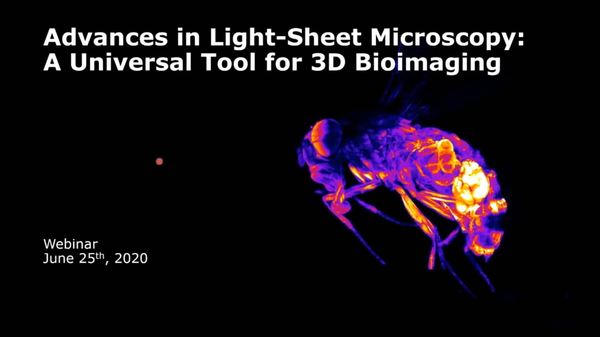 Advances in LightSheet Microscopy a Universal Tool for 3D Bioimaging