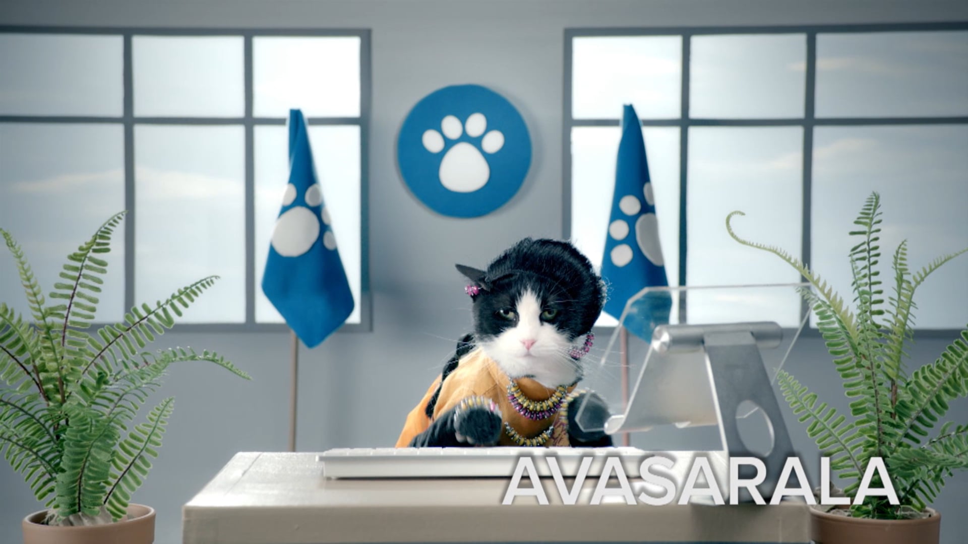 Social/Digital Content