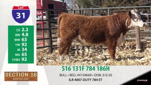 Lot #31 - S16 131F 784 186H