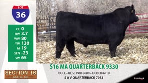 Lot #36 - S16 MA QUARTERBACK 9330
